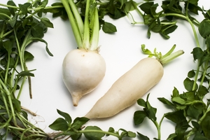 daikon.jpg